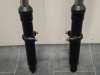 Horquillas de suspensión completas Harley Davidson FXDWG Dyna Wide Glide