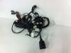 Wire Harness Yamaha XJ 600 Diversion