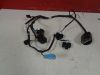 Wire harness front Honda CBR 600 F