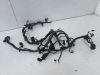 Wire Harness Kawasaki Z 300