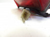 Rear light Kawasaki LTD 454