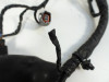 Wire Harness Kawasaki ER 6