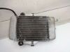 Radiateur Honda Dylan