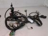 Wire Harness Kawasaki ZZR 250