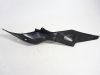Seitenverkleidung links klein Aprilia RSV 1000