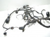 Wire Harness BMW K 1200 R 