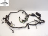 Wire Harness Triumph 1200 Daytona