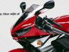 Wind screen Yamaha YZF R6