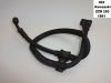 Brake hose front Kawasaki ZZR 250