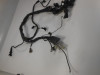 Wire Harness Aprilia Caponord 1000