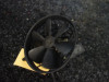 Fan Aprilia Falco