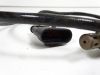 Lambda sensor Ducati 848