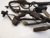 Wire Harness Honda CMX 250 