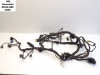 Wire Harness Kawasaki ER 6