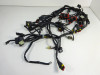 Wire Harness MV Agusta 989 Brutale R