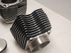 Cilinderblok Harley Davidson Softtail