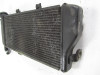 Radiator Kawasaki ER 6