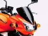 Scheibe Windschild Kawasaki Z 1000