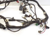 Wire Harness Kawasaki ER 5
