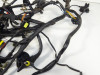 Wire Harness Ducati monster 600