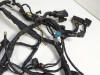 Wire Harness Kawasaki ER 6