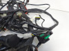 Wire Harness Aprilia Dorsoduro 750