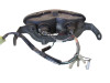 Achterlicht Suzuki DL 1000 V STROM