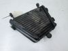 Oil cooler Suzuki GSX R 1000