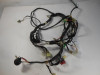 Wire Harness Kawasaki ZZR 250