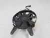 Fan Yamaha FAZER 600