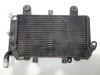 Radiator Triumph Tiger 900