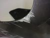 Cowl upper front Yamaha XJ 600 F