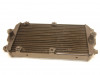 Radiateur Harley Davidson Street 750