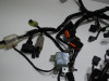 Wire Harness Kawasaki Ninja 300