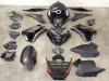 Complete kuipset Aprilia Tuono 660