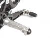 Footpegs left and or right BMW S 1000 RR