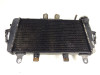 Radiateur Triumph Tiger 1050