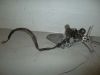 Main step holder right Honda CBR 1100 XX