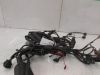 Wire Harness Triumph Tiger 900