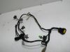 Wire Harness Yamaha GTS 1000