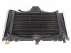 Radiator Yamaha FZ6