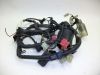 Wire Harness Honda TRANSALP