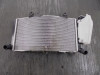 Radiator BMW F 750 GS