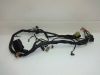 Wire Harness Honda TRANSALP