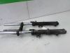 Voorpoten compleet Honda CBR 1100 XX