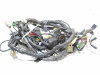 Wire Harness Kawasaki ZZR 1100