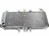 Kuhler Yamaha FAZER 600