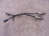 Lambda sensor Triumph Thruxton TFC