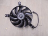 Fan Kawasaki Z 900