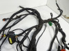 Wire Harness Aprilia Dorsoduro 750